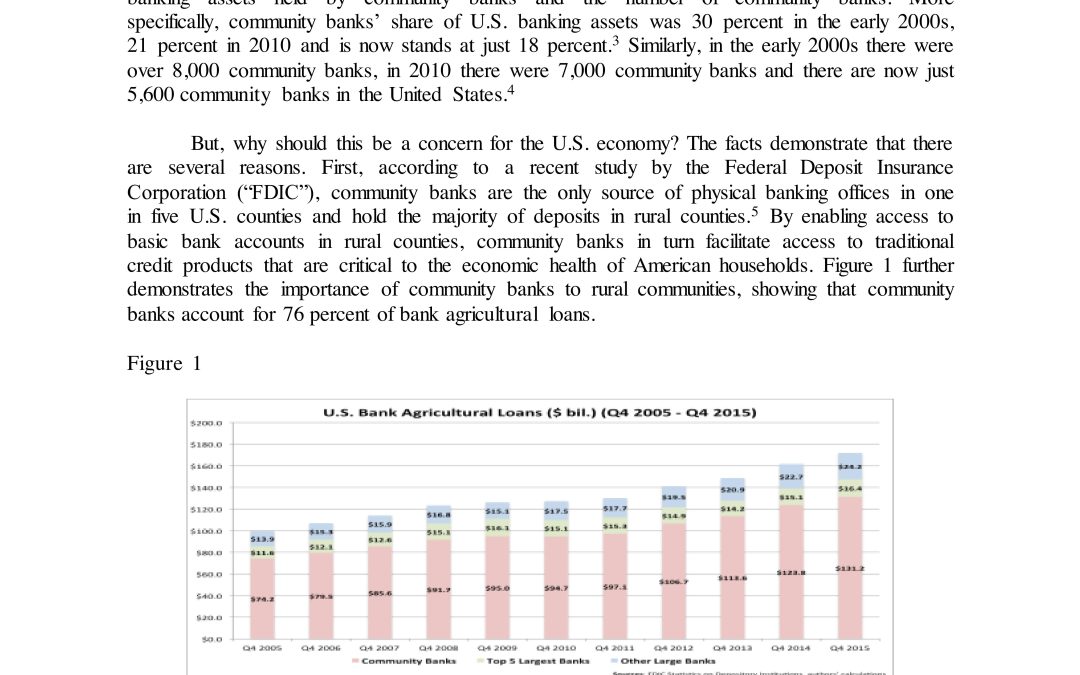 Nothing But the Facts Statement: Community Banking