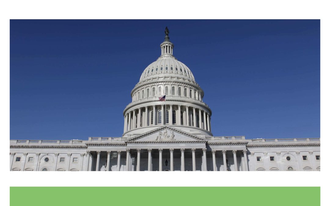 Report: The U.S. Public Enforcement System