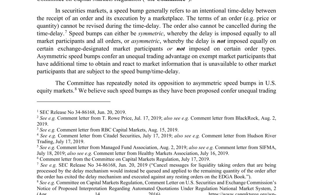 Nothing But The Facts: Asymmetric Speed Bumps in U.S. Equity Markets