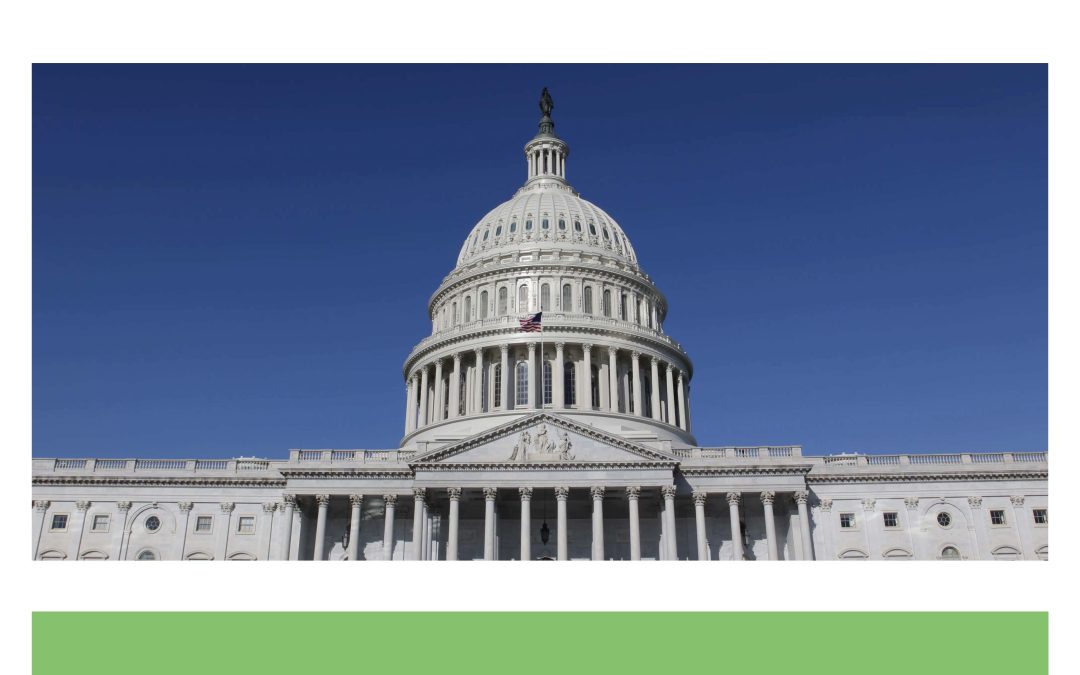 Report: Stress Testing During a Pandemic: Enhancing Transparency & Financial Stability