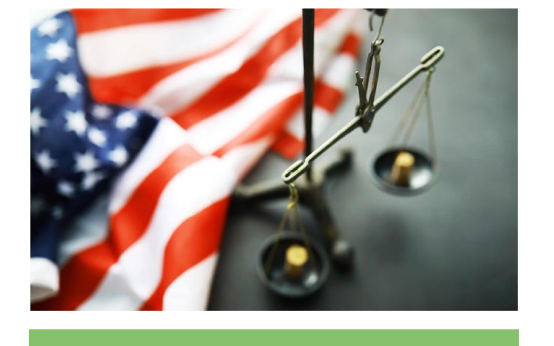 Report: An Analysis of the Constitutionality of State ESG Laws