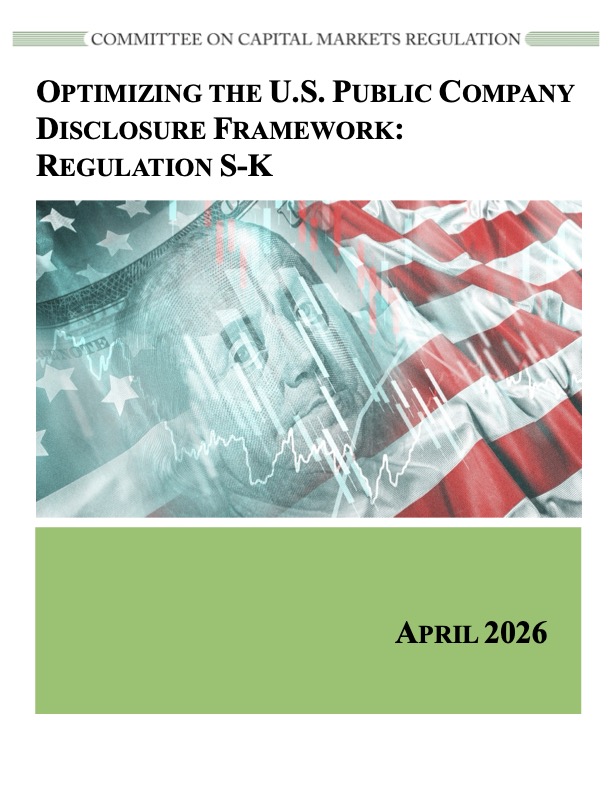 Report on Optimizing Regulation S-K