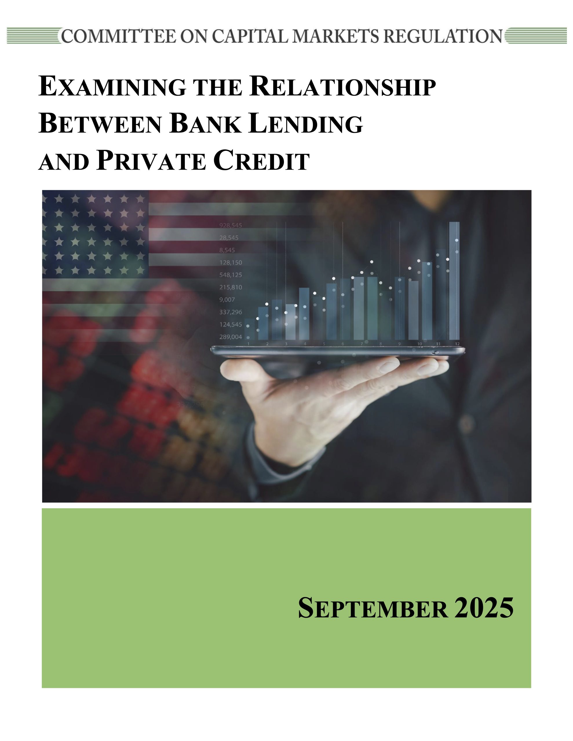 Report: Examining the Relationship Between Bank Lending and Private Credit